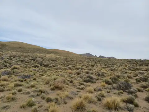 Campo de 13.515 has en las Sierras de Tecka