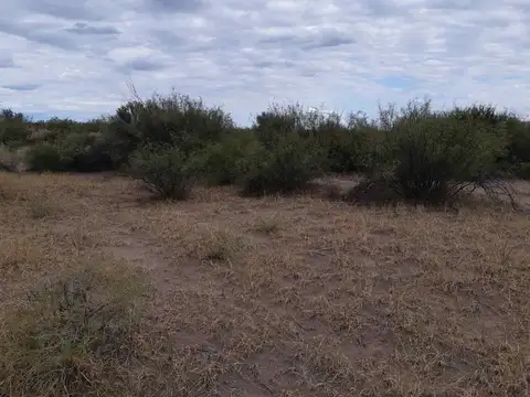 Calle Anzorena entre 10 y 11
