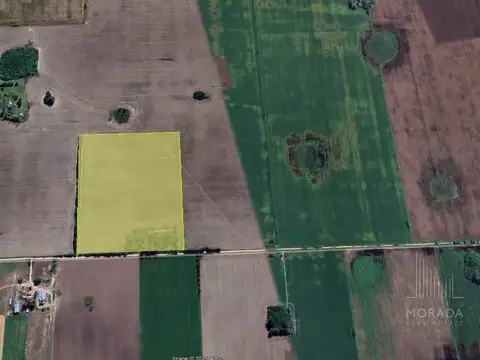 15.6 Ha CAMPO AGRICOLA - ZARATE Pcia Bs