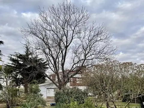 Av. Chacal Esquina Queupu