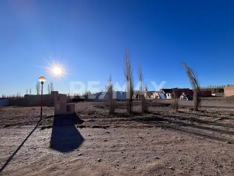 Terreno en Venta de 337,0 m2