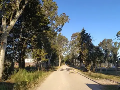 Terreno en Venta 45  mts Fondo