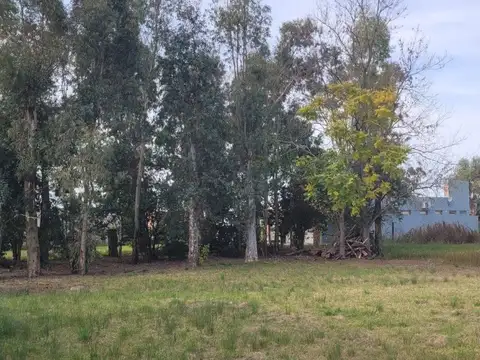 TERRENO EN VENTA - ARANA
