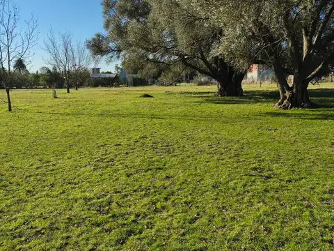 Chacra en Gualeguaychu