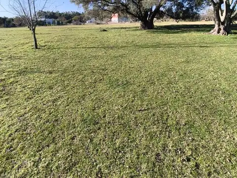 Alferez Sobral al norte