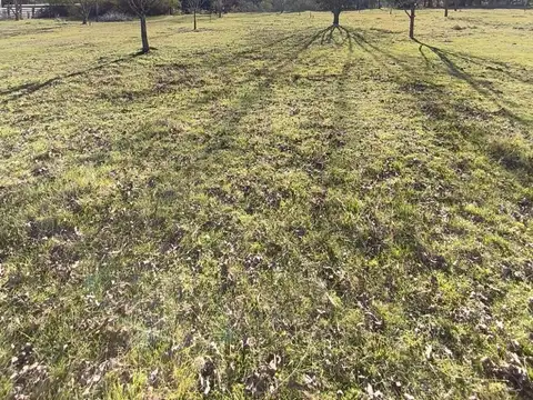 Boulevard de Maria al Norte