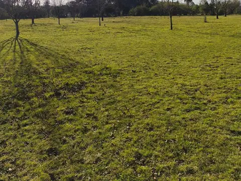 Alferez Sobral al norte