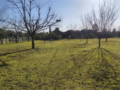 Chacra en Gualeguaychu