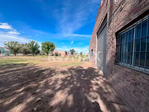 Francisco Escoda 200