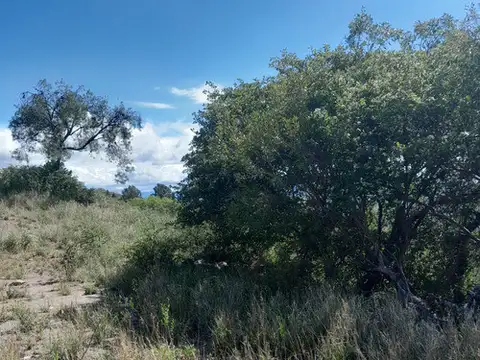 Terreno en Venta de 7600,0 m2