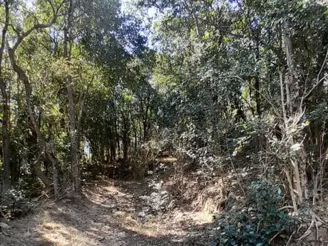 VENTA LOTE RIO CEBALLOS LA LUCINDA 810 M2