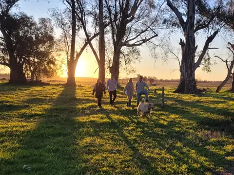 Terreno en Venta, FOS 0,4