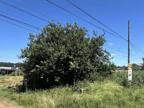 Av. Mitre y Falucho San José