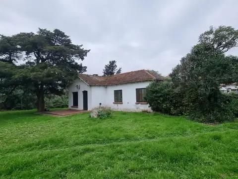 Juan Bautista Alberdi 700