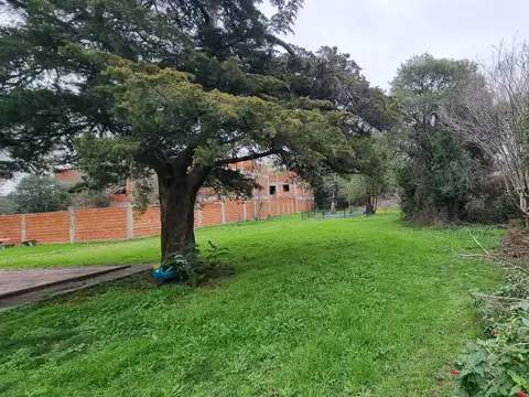 Juan Bautista Alberdi 700