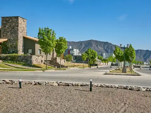 Regalado Olguín 900