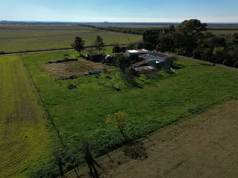 Campo en Venta Chacra
