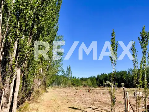 Terreno en Venta en Cipolletti, USD 38.000