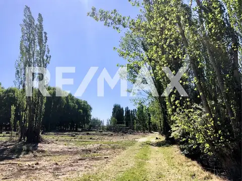 Lote 510m2 en venta - B° Cardales, Cipolletti
