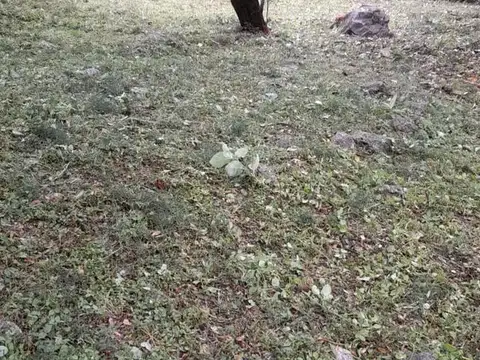 Lote en venta - Rio Ceballos