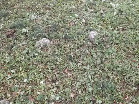 Terreno en Venta de 440,0 m2