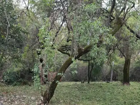 Terreno en Venta 40  mts Fondo