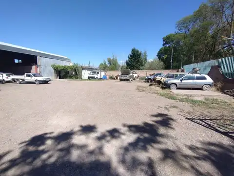 Galpon en Alquiler 36 años