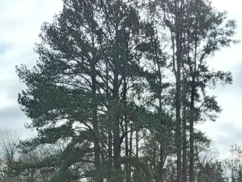 Terreno en Venta 25  mts Frente