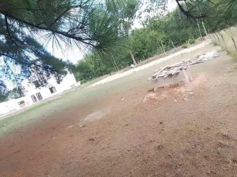 Terreno en Venta 48  mts Fondo