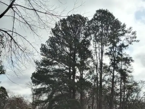 Terreno en Venta en Guernica, USD 38.000