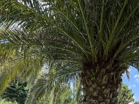 VENTA CASA APTA CREDITO EN SEGUNDAS COLINAS PILAR