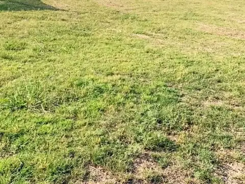 Terreno en Venta de 1002,0 m2