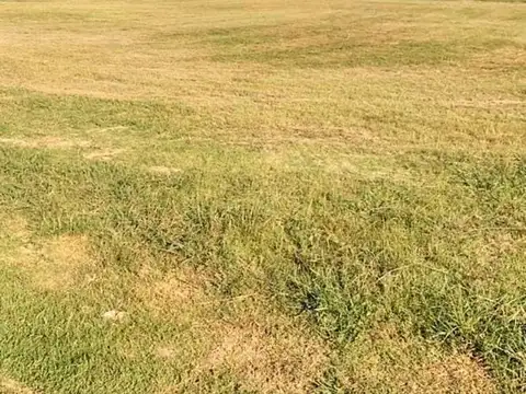 Ruta Provincial 2 100