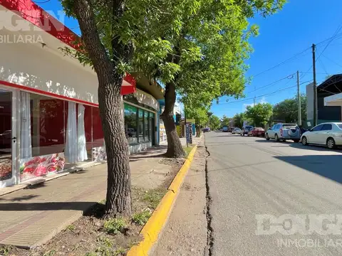 Local en Alquiler 20 años