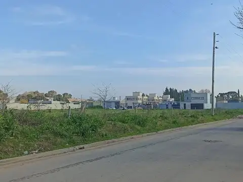Lote en venta en Lisandro Olmos 10 x 50