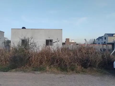 Viamonte e/ Cabildo y Roberto Grau