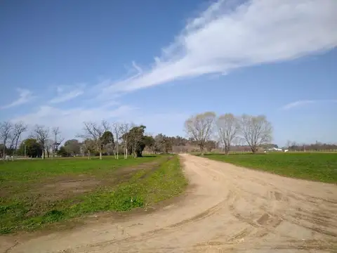 Terreno en Venta de 763,0 m2