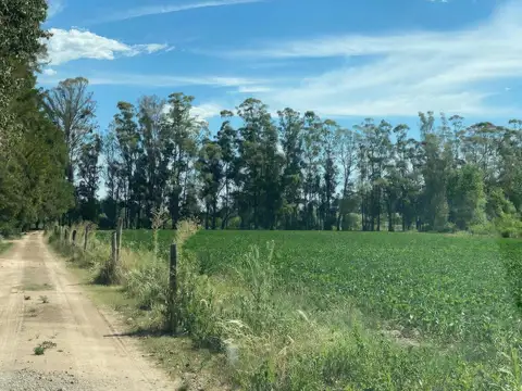 Terreno en Venta de 1475,0 m2