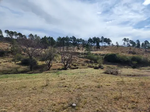 Terreno en Venta de 9000,0 m2