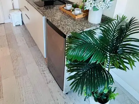 Departamento en Alquiler al Este