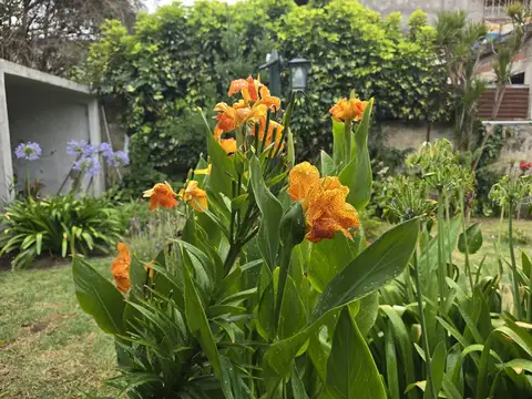 Casa en Loma Hermosa - venta - excelente - 3 ambientes