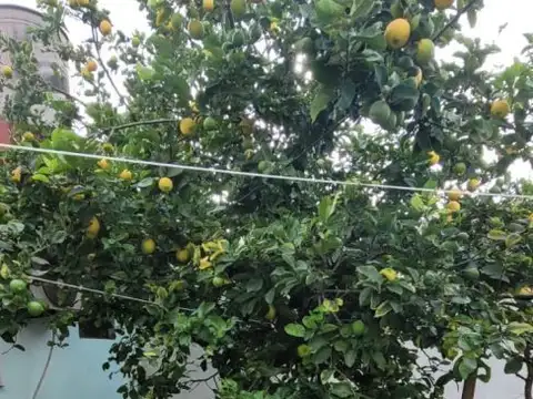 Casa 7 ambientes con 4 baños