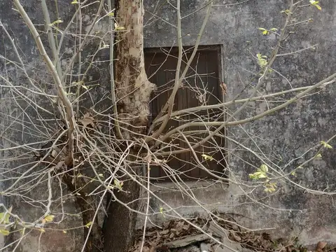 Terreno en Venta en Bolivar, USD 85.000