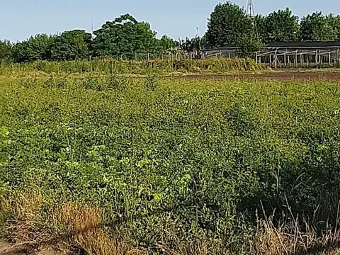 QUINTA EN VILLA SAN LUIS