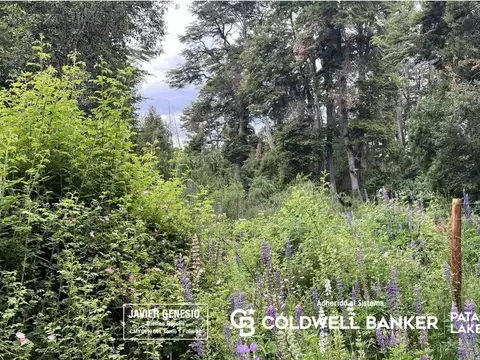 VENTA LOTE | Terreno 3000m2 UF 14 Puerto Nahuel Villa La Angostura Acceso al lago