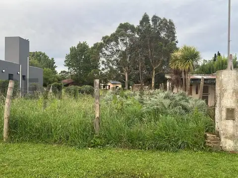 DE LOS PINOS , Piso 0