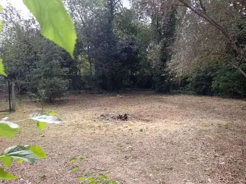 Marqués de Avilés al 2800