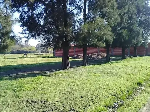 PITAGORAS & ECHEVERRIA