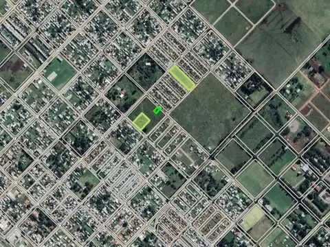 Argerich e/ Italia y Portugal