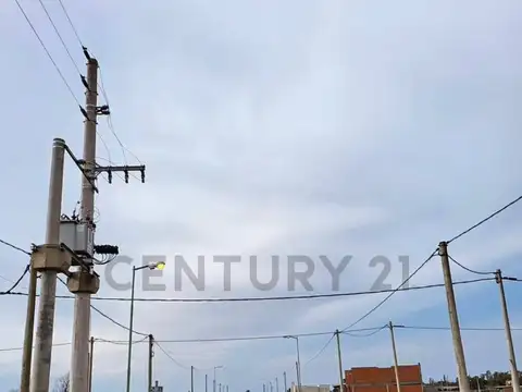 Av 7 y 628 | las cortaderas